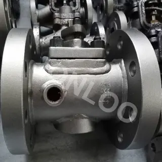 What are Jacketed Valves